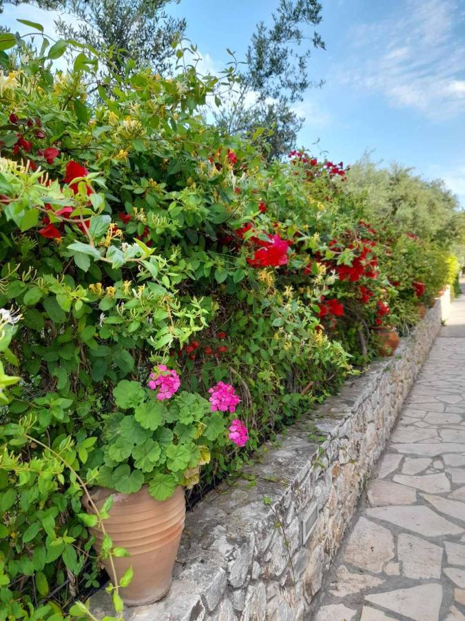 Aphrodite Apartments カリヴェス エクステリア 写真